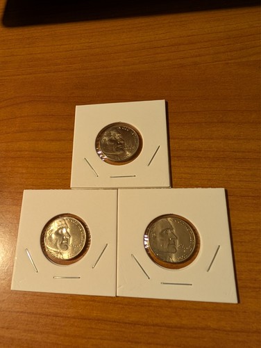 2005 denver buffalo nickel - 2005,